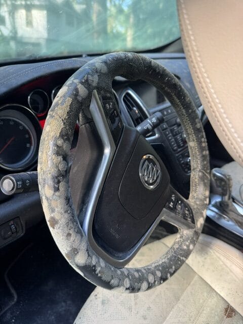 A detailed view of a polished car hood reflecting light, showcasing Moran's Performance Detailing expertise.