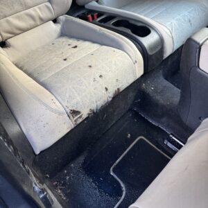 A detailed view of a shiny car hood reflecting light, showcasing a high-quality car detailing service.