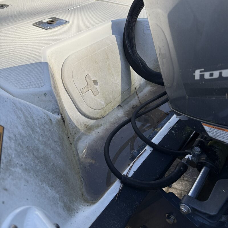 A detailed view of a shiny car hood reflecting light, showcasing the quality of Moran's Performance Detailing services.