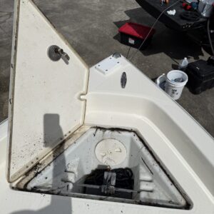 A detailed view of a shiny, well-polished car hood reflecting sunlight, showcasing meticulous detailing work.