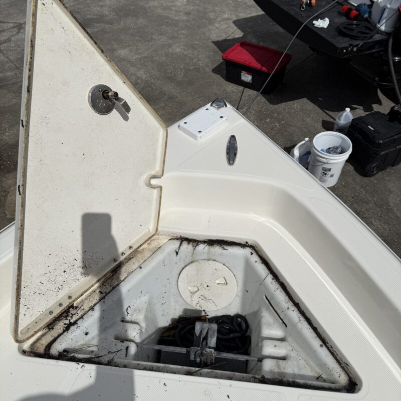 A detailed view of a shiny, well-polished car hood reflecting sunlight, showcasing meticulous detailing work.