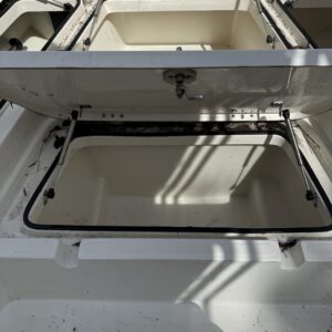 Detailed view of a polished car exterior reflecting light, showcasing the quality of Moran's Performance Detailing services.