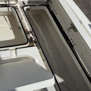 A detailed view of a shiny, well-polished car exterior reflecting light, showcasing Moran's Performance Detailing services.