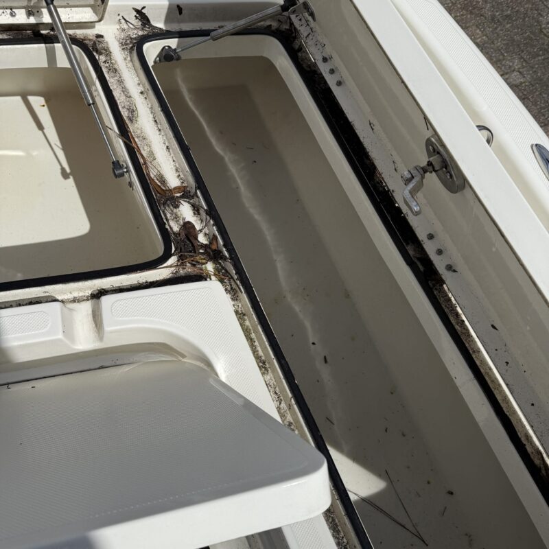 A detailed view of a shiny, well-polished car exterior reflecting light, showcasing Moran's Performance Detailing services.