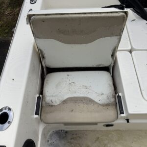 A close-up view of a shiny car hood reflecting the surrounding trees and sky, showcasing its polished surface.