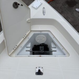 A detailed view of a shiny car exterior reflecting light, showcasing the results of professional detailing.