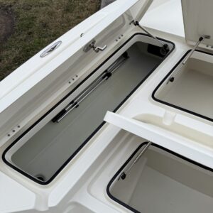 A detailed view of a shiny car hood reflecting the surroundings, showcasing the results of performance detailing.