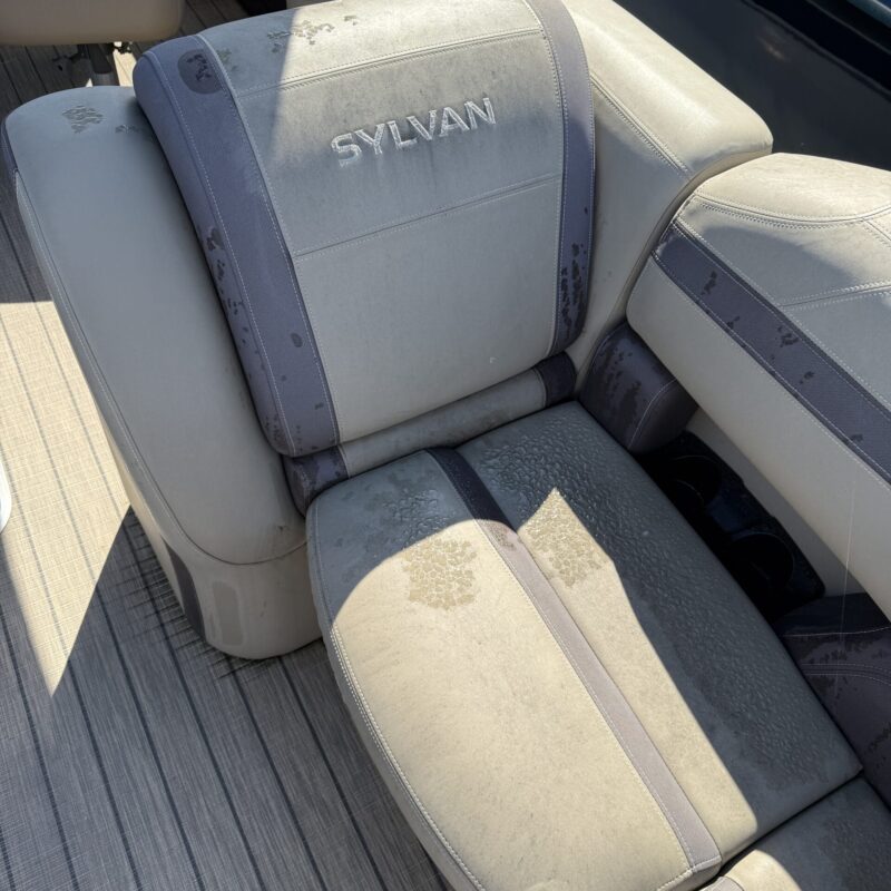 A detailed view of a polished car surface showcasing a high-gloss finish, emphasizing the quality of Moran's Performance Deta