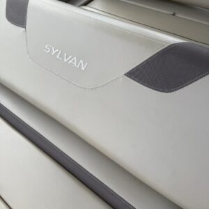 A close-up of a polished car surface reflecting light, showcasing the detailing work by Moran's Performance Detailing.